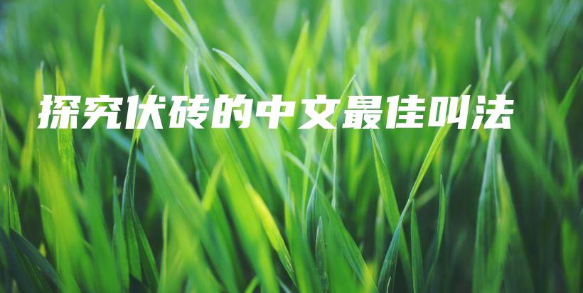 探究伏砖的中文最佳叫法插图