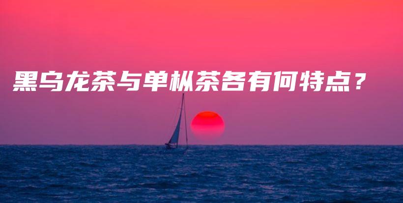 黑乌龙茶与单枞茶各有何特点？插图