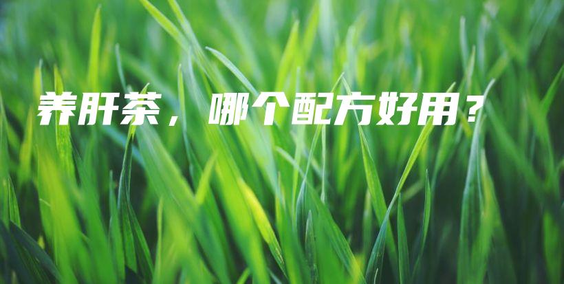 养肝茶，哪个配方好用？插图