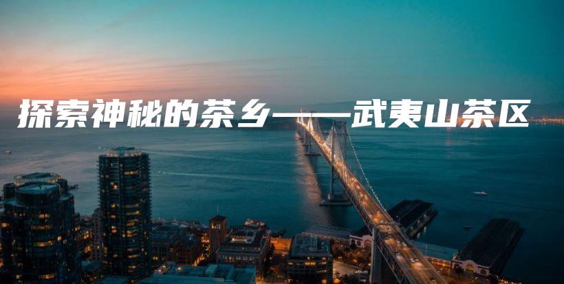 探索神秘的茶乡——武夷山茶区插图