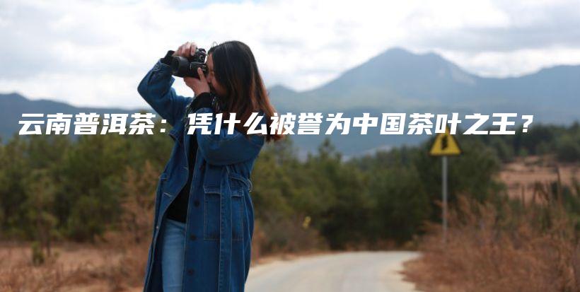 云南普洱茶：凭什么被誉为中国茶叶之王？插图