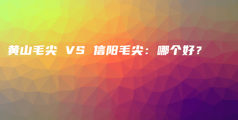 黄山毛尖 VS 信阳毛尖：哪个好？插图