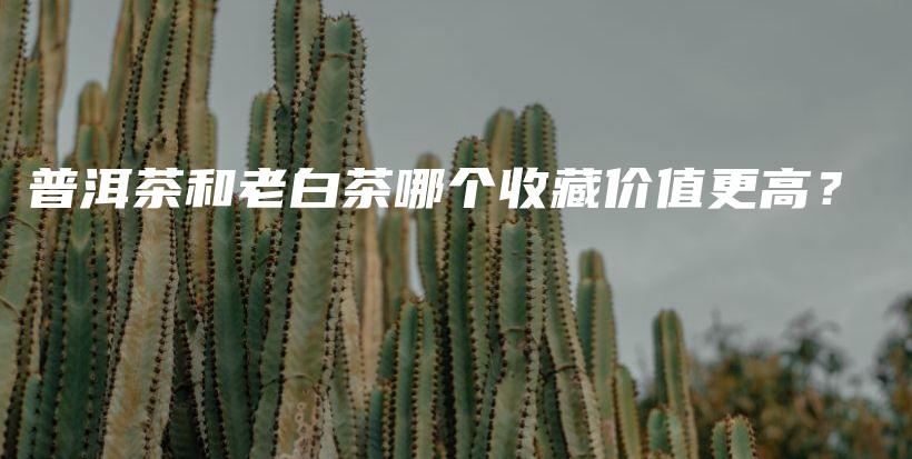 普洱茶和老白茶哪个收藏价值更高？插图