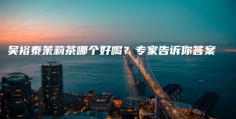 吴裕泰茉莉茶哪个好喝？专家告诉你答案插图