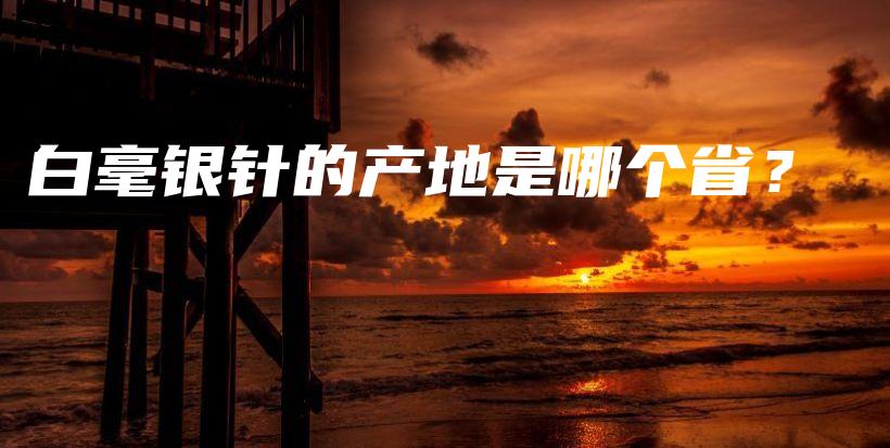 白毫银针的产地是哪个省？插图