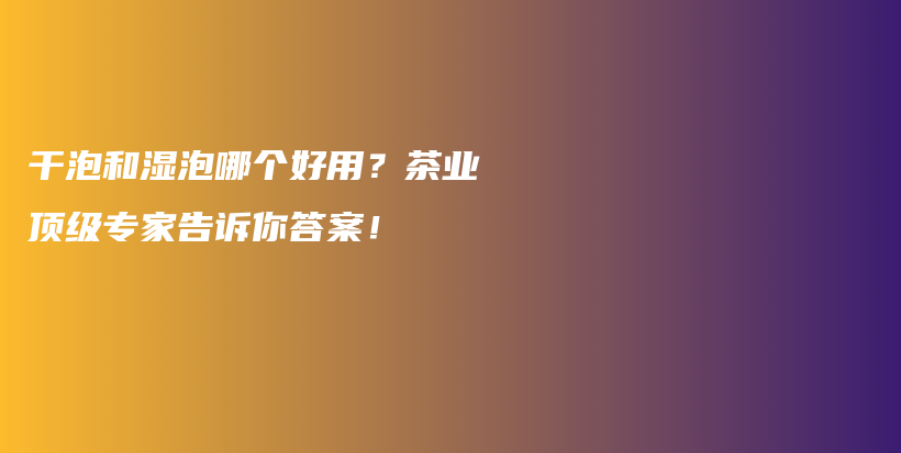 干泡和湿泡哪个好用？茶业顶级专家告诉你答案！插图