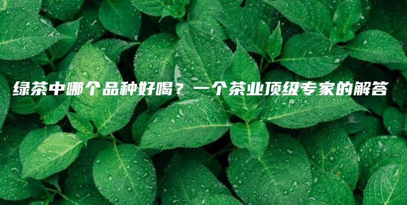 绿茶中哪个品种好喝？一个茶业顶级专家的解答插图