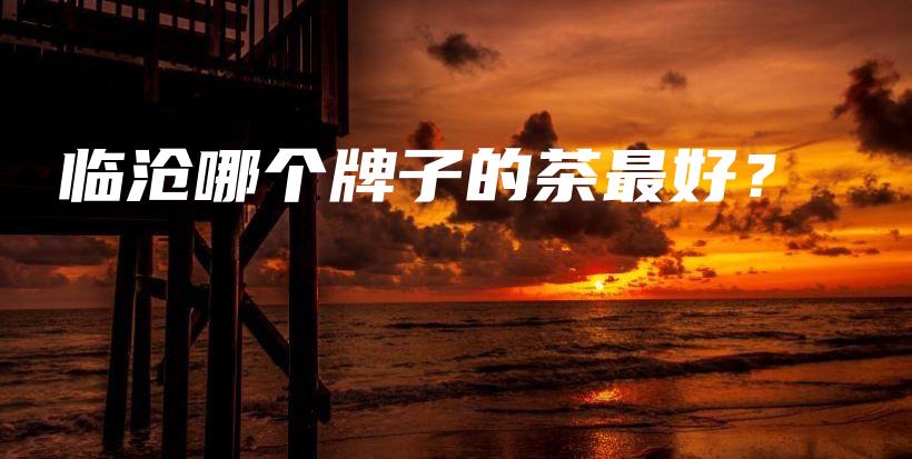 临沧哪个牌子的茶最好？插图