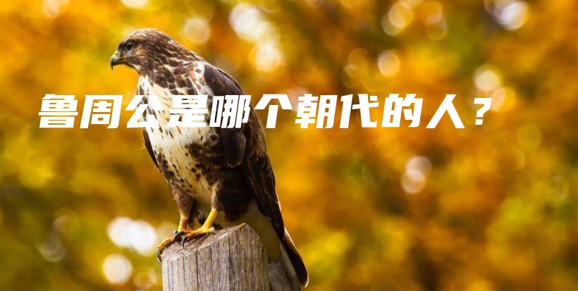 鲁周公是哪个朝代的人？插图