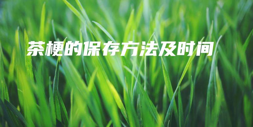 茶梗的保存方法及时间插图