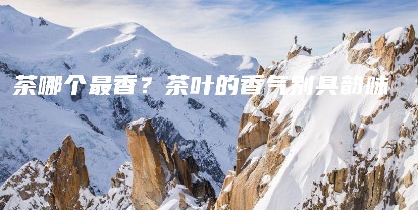 茶哪个最香?茶叶的香气别具韵味插图 茶哪个最香?茶叶的香气别具韵味插图