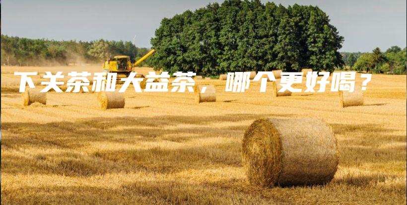 下关茶和大益茶，哪个更好喝？插图