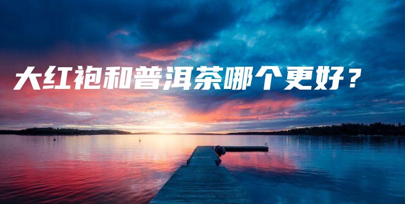 大红袍和普洱茶哪个更好？插图