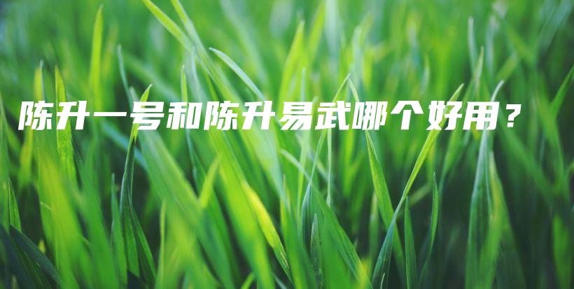 陈升一号和陈升易武哪个好用？插图