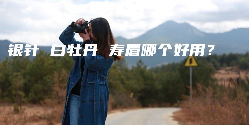 银针 白牡丹 寿眉哪个好用？插图