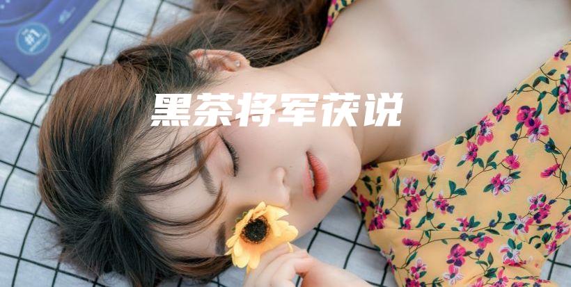 黑茶将军茯说插图