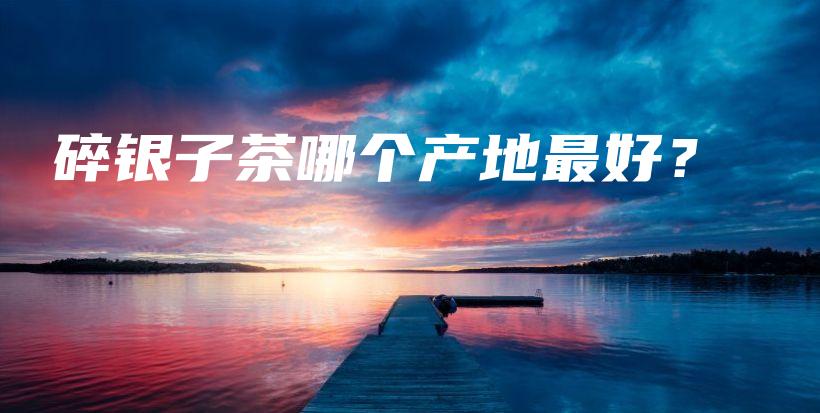 碎银子茶哪个产地最好？插图