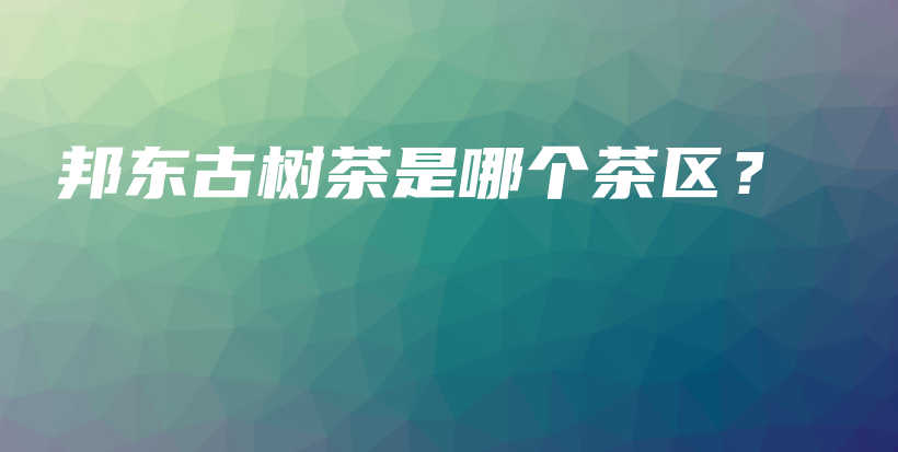 邦东古树茶是哪个茶区？插图