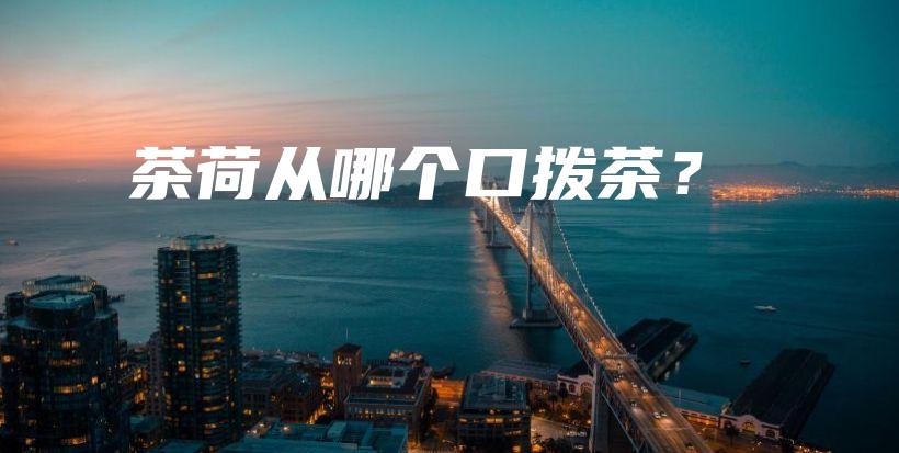 茶荷从哪个口拨茶？插图