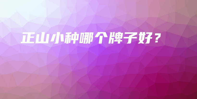 正山小种哪个牌子好？插图