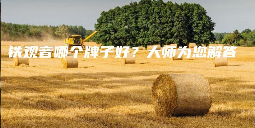 铁观音哪个牌子好？大师为您解答插图