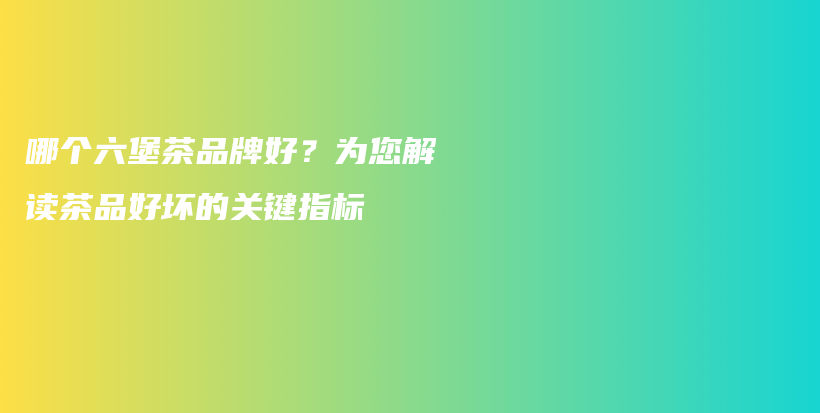 哪个六堡茶品牌好？为您解读茶品好坏的关键指标插图