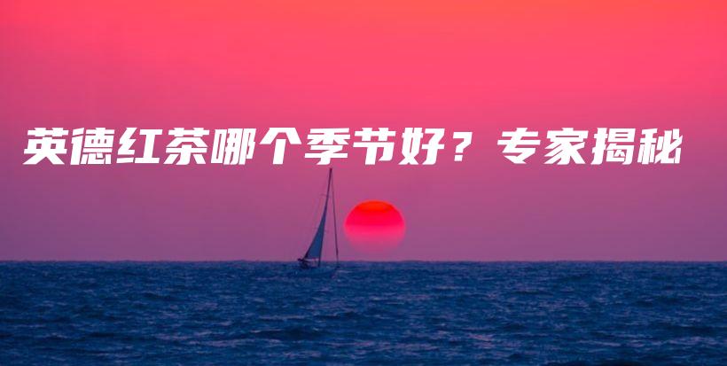 英德红茶哪个季节好？专家揭秘插图