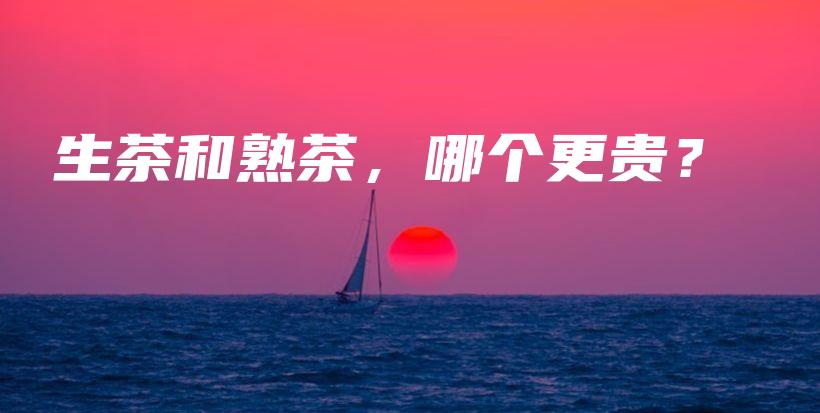生茶和熟茶,哪个更贵?插图 生茶和熟茶,哪个更贵?插图