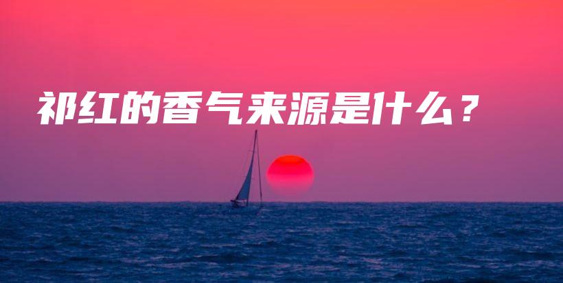 祁红的香气来源是什么？插图