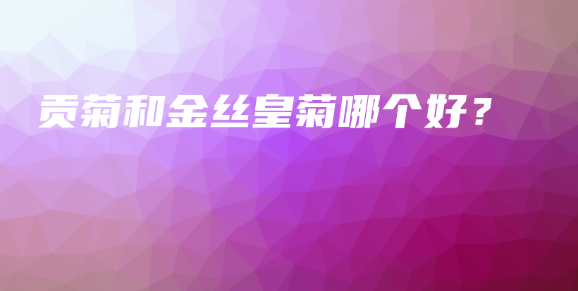 贡菊和金丝皇菊哪个好？插图