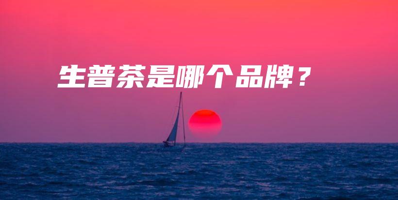 生普茶是哪个品牌？插图
