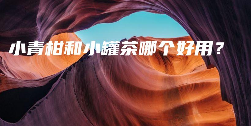 小青柑和小罐茶哪个好用？插图