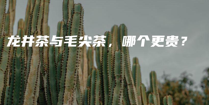 龙井茶与毛尖茶，哪个更贵？插图