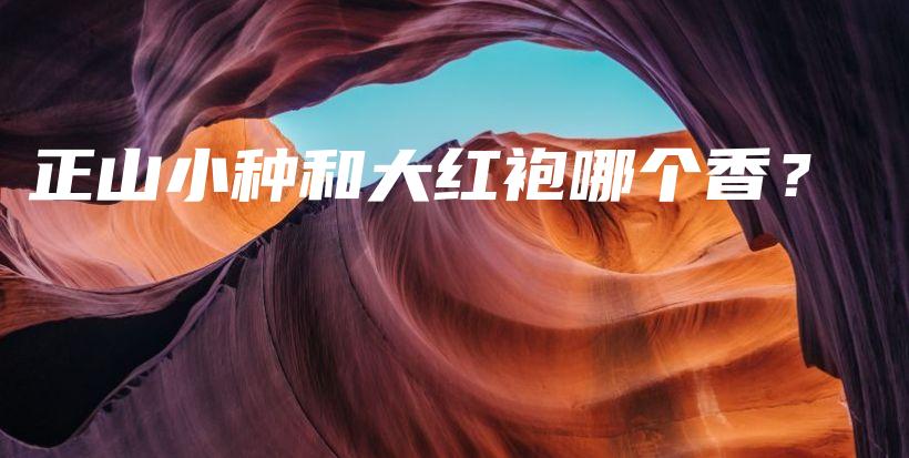 正山小种和大红袍哪个香？插图