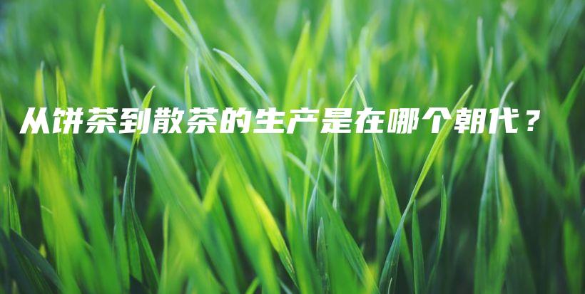 从饼茶到散茶的生产是在哪个朝代?插图 从饼茶到散茶的生产是在哪个朝代?插图