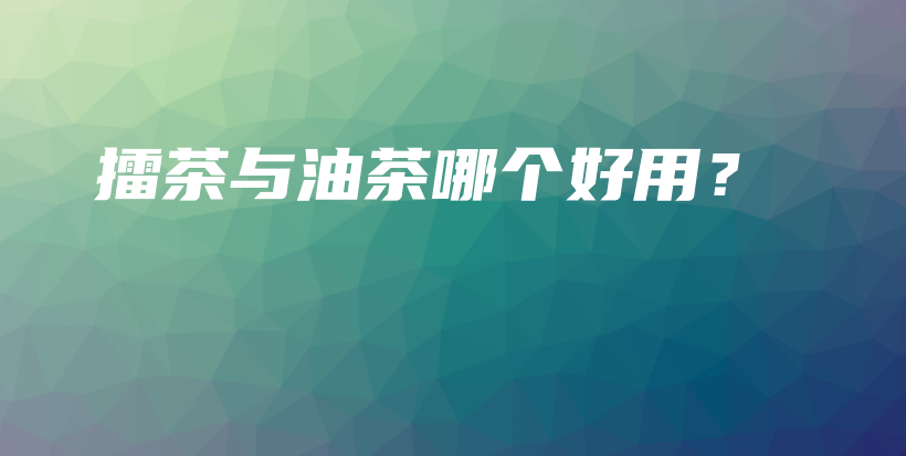 擂茶与油茶哪个好用？插图