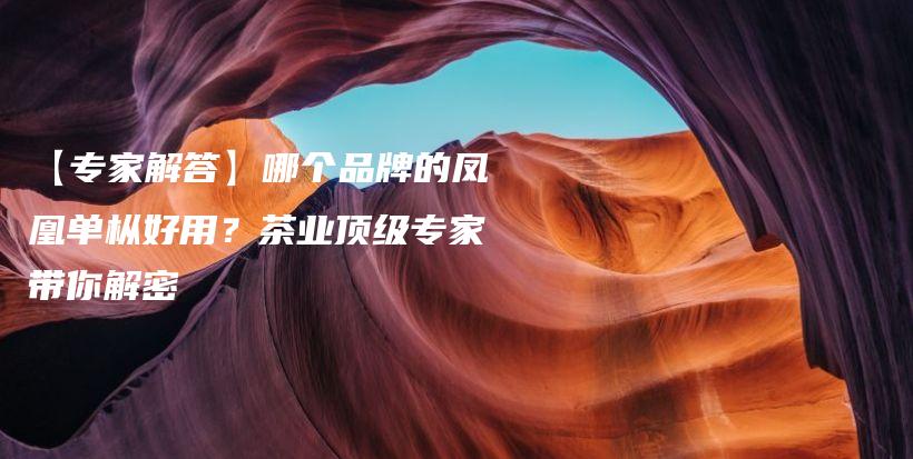 【专家解答】哪个品牌的凤凰单枞好用？茶业顶级专家带你解密插图