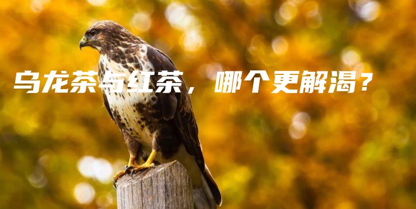 乌龙茶与红茶，哪个更解渴？插图
