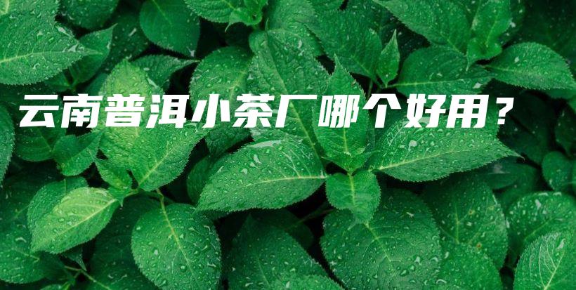 云南普洱小茶厂哪个好用？插图