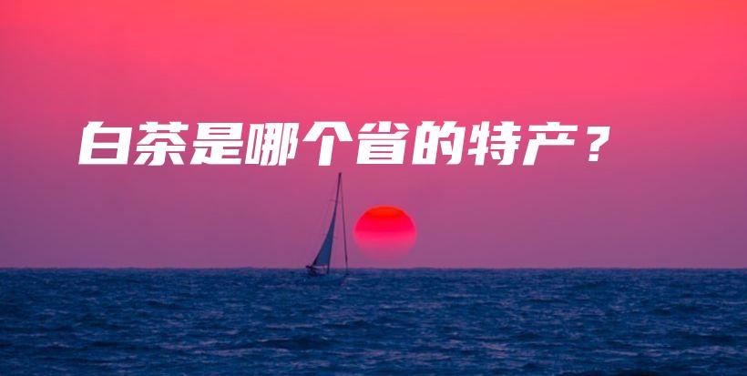 白茶是哪个省的特产？插图