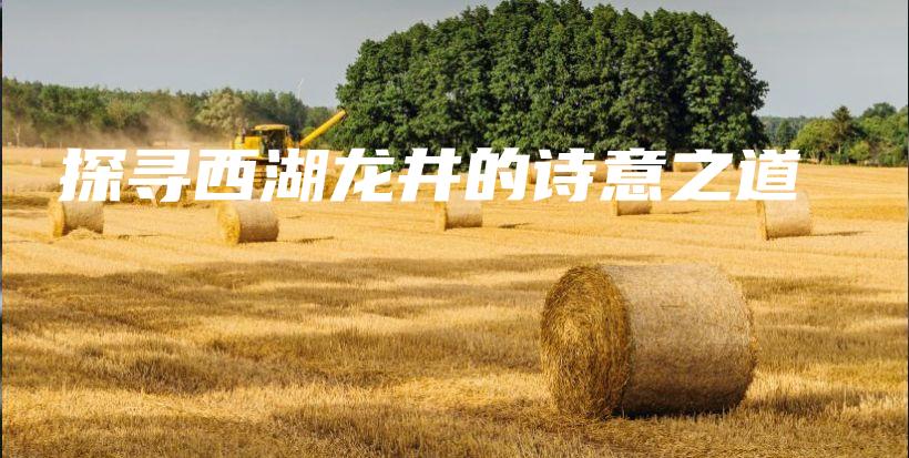 探寻西湖龙井的诗意之道插图