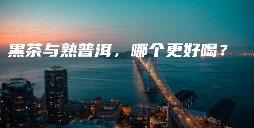 黑茶与熟普洱，哪个更好喝？插图