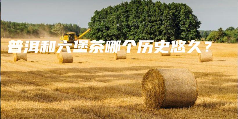 普洱和六堡茶哪个历史悠久？插图