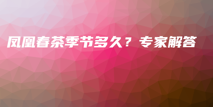 凤凰春茶季节多久？专家解答插图