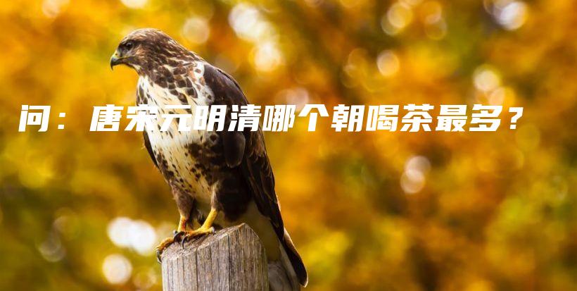 问：唐宋元明清哪个朝喝茶最多？插图