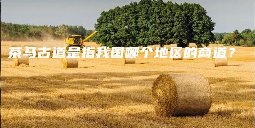 茶马古道是指我国哪个地区的商道?插图 茶马古道是指我国哪个地区的商道?插图
