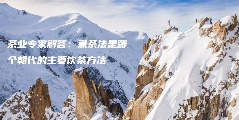 茶业专家解答：煮茶法是哪个朝代的主要饮茶方法插图