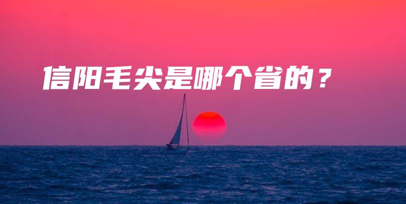 信阳毛尖是哪个省的？插图