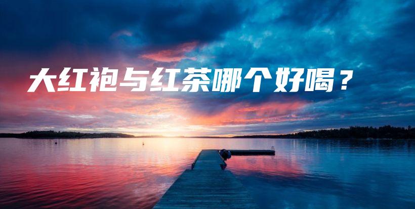 大红袍与红茶哪个好喝？插图