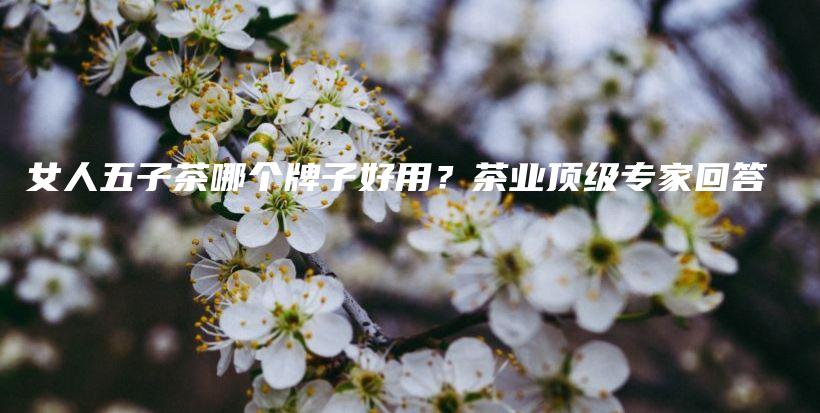 女人五子茶哪个牌子好用？茶业顶级专家回答插图